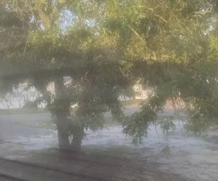 Town & Country Estates