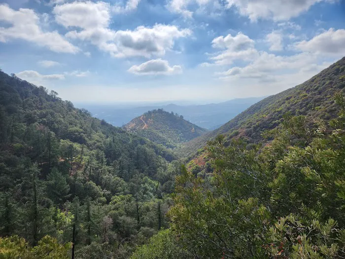 Idlehour Trail Camp Picture 1