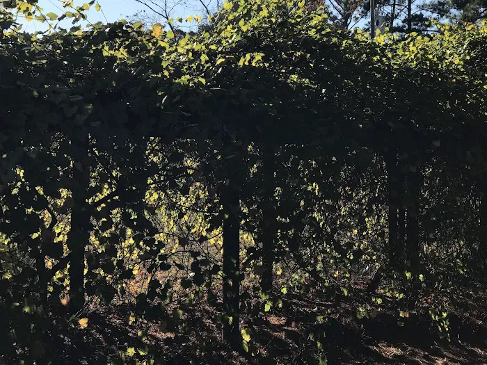 Spring Valley RV Campground Picture 7