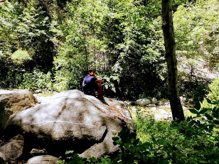 Devore Trail Camp Picture 10