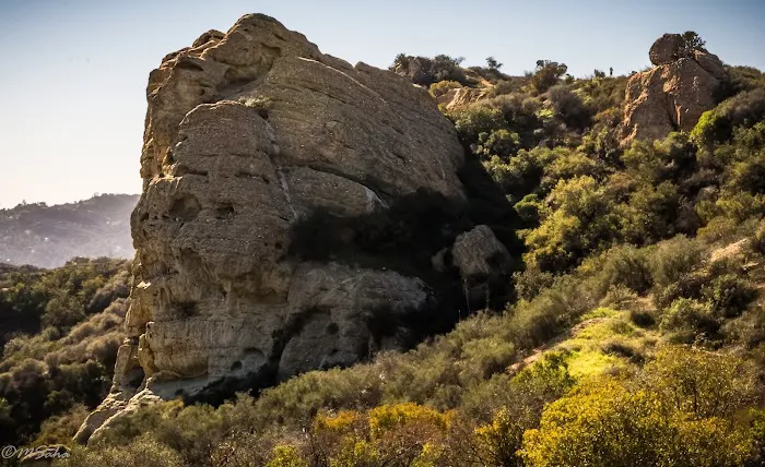 Musch Trail Camp - Topanga State Park Picture 4