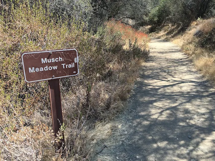 Musch Trail Camp - Topanga State Park Picture 7