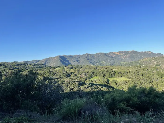 Musch Trail Camp - Topanga State Park Picture 5