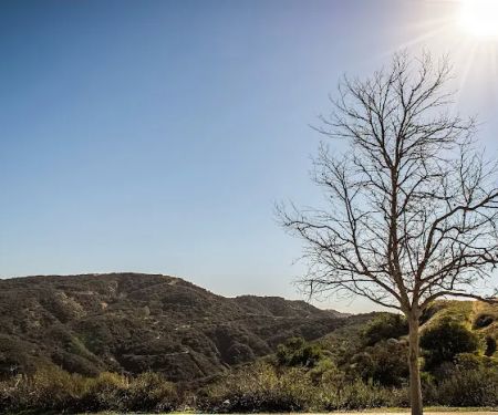 Musch Trail Camp - Topanga State Park