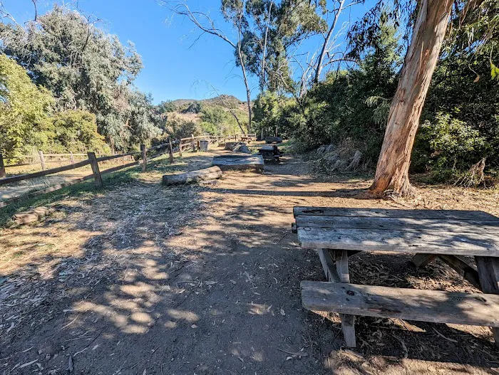 Musch Trail Camp - Topanga State Park Picture 8