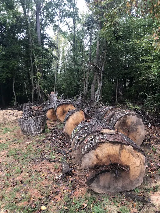 New Construction Picture 6