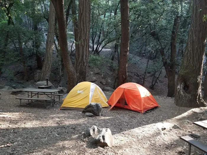 Spruce Grove Trail Camp Picture 2