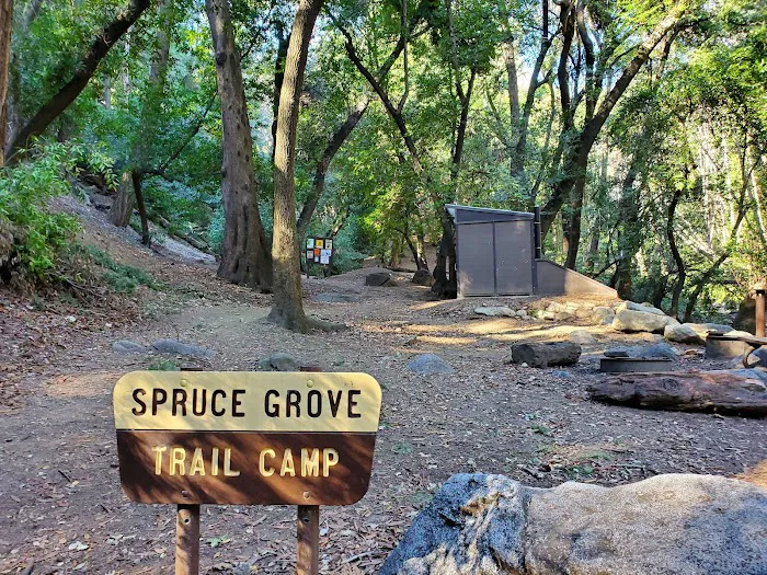 Spruce Grove Trail Camp Picture 1