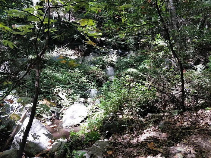 Spruce Grove Trail Camp Picture 6