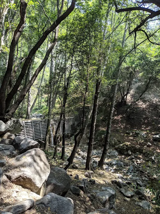 Hoegee Trail Camp Picture 9