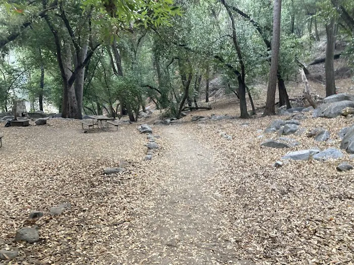 Hoegee Trail Camp Picture 1