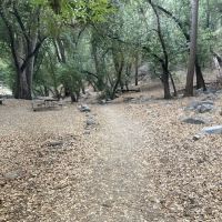 Hoegee Trail Camp ico