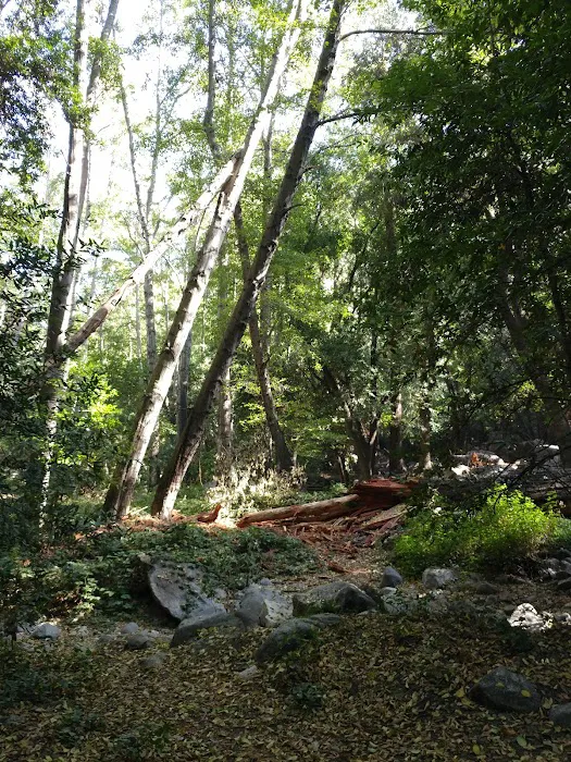 Hoegee Trail Camp Picture 6
