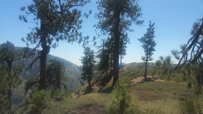Guffy Campground Picture 5