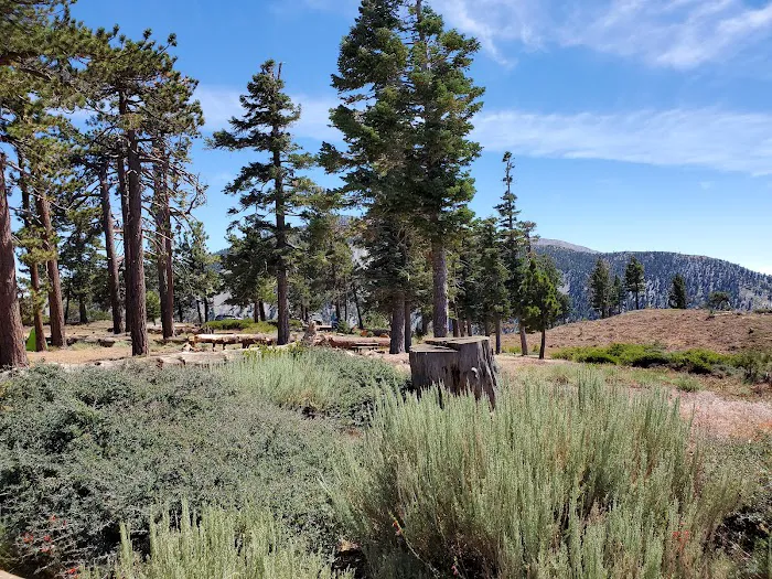 Guffy Campground Picture 10