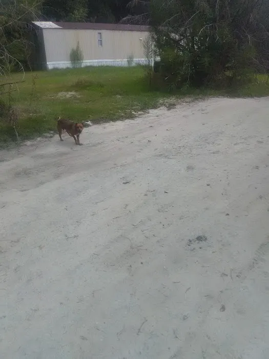 Lake Side Mobile Home Park Picture 1