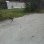 Lake Side Mobile Home Park