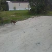 Lake Side Mobile Home Park ico