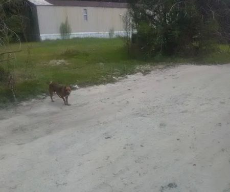 Lake Side Mobile Home Park