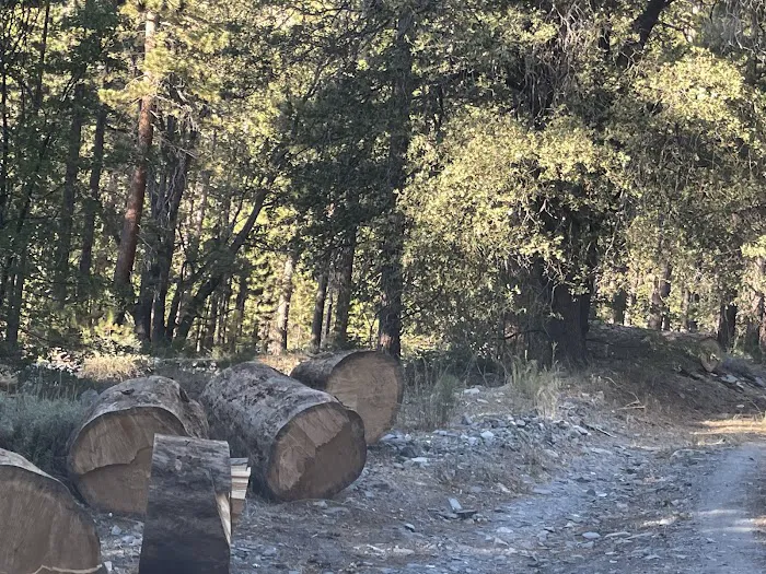 Lupine Campground Picture 4