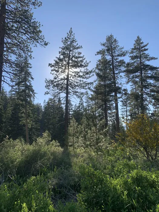Lupine Campground Picture 10