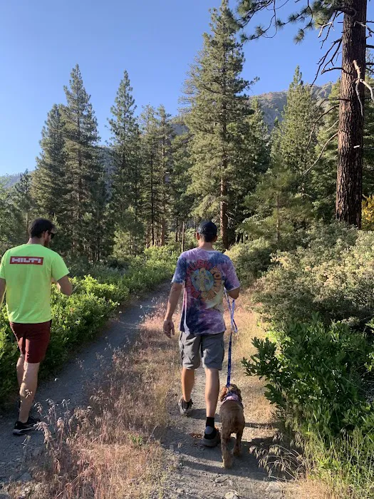 Lupine Campground Picture 7