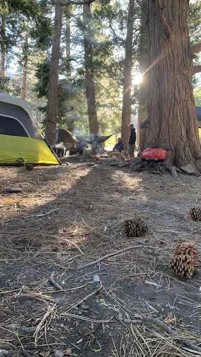 Lupine Campground Picture 5