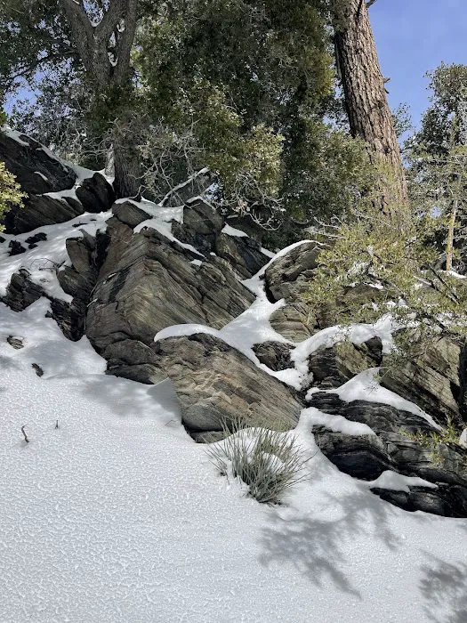 Yellow Post Site 13: Alpine Canyon Picture 4