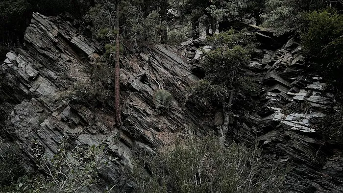 Yellow Post Site 13: Alpine Canyon Picture 10