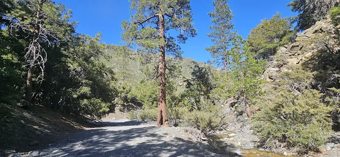 Yellow Post Site 13: Alpine Canyon Picture 1