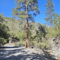 Yellow Post Site 13: Alpine Canyon ico