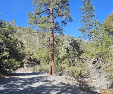 Yellow Post Site 13: Alpine Canyon