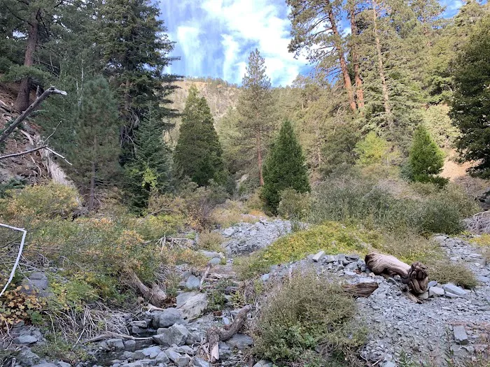 Yellow Post Site 13: Alpine Canyon Picture 9