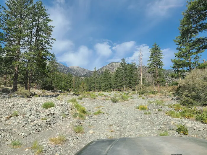 Yellow Post Site 13: Alpine Canyon Picture 8