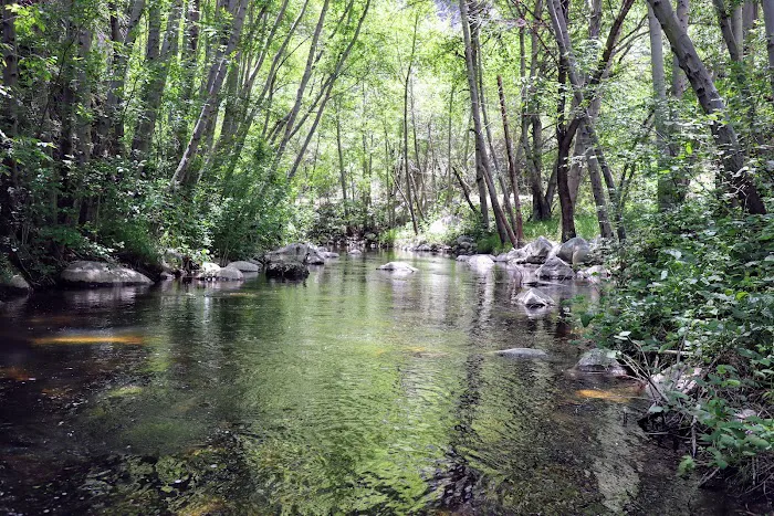 Glenn Camp Campground Picture 10