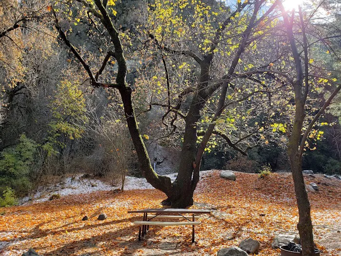 Glenn Camp Campground Picture 7