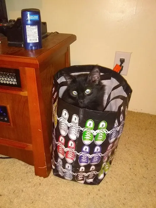 Patriot Place MHP Picture 2