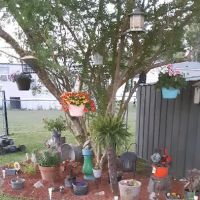 Patriot Place MHP ico