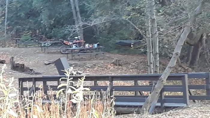 Spring Camp Campground Picture 7
