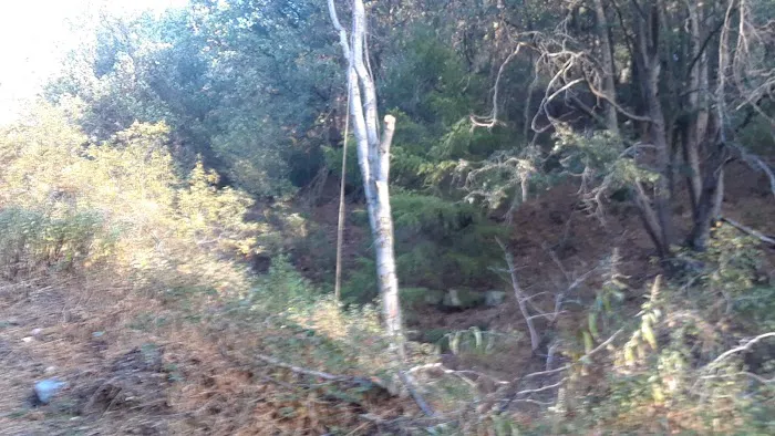 Spring Camp Campground Picture 5