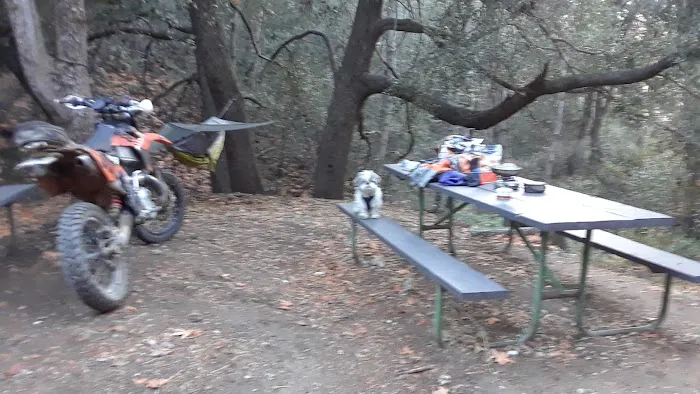 Spring Camp Campground Picture 9