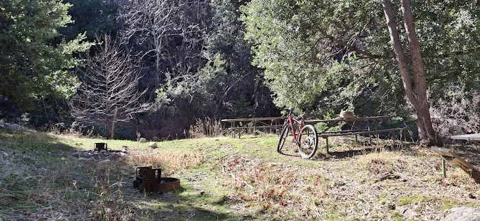 Spring Camp Campground Picture 3