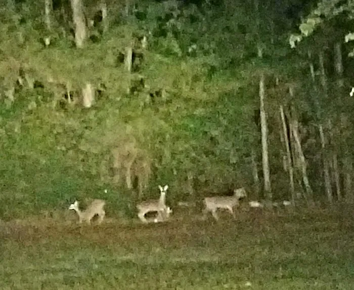 Reid Acres Mobile Home Park Picture 1