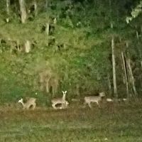 Reid Acres Mobile Home Park ico