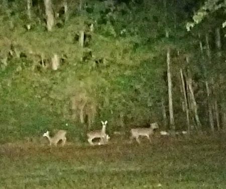 Reid Acres Mobile Home Park