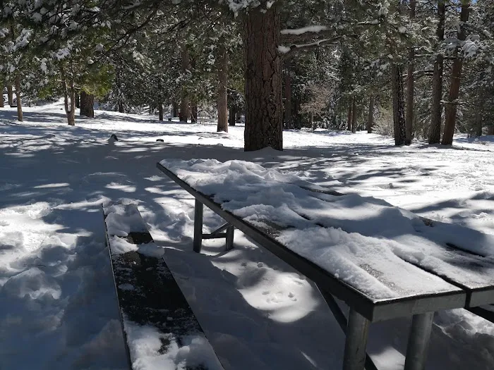 Manker Flat Campground Picture 9