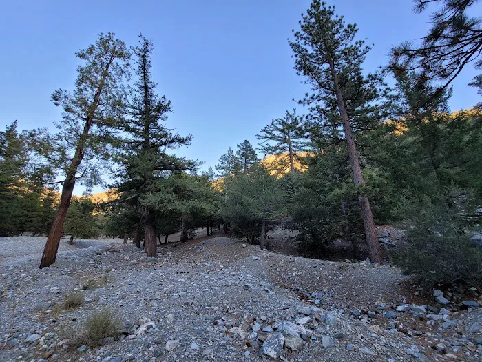Manker Flat Campground Picture 6