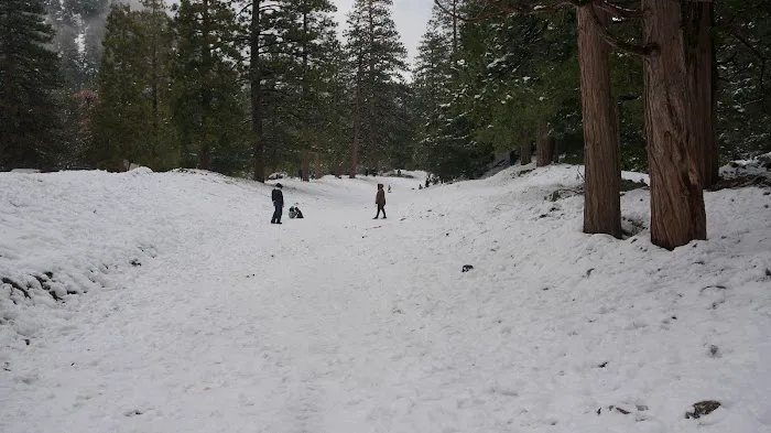 Manker Flat Campground Picture 2