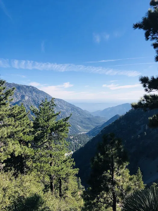 Manker Flat Campground Picture 3