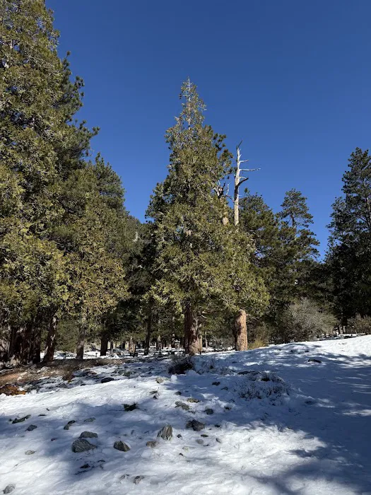 Manker Flat Campground Picture 1